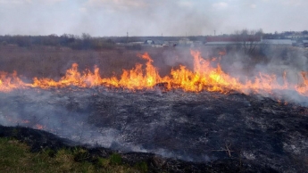 Во Львовской области во время сжигания сухой травы сгорела женщина
