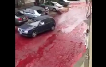 В Аргентине тысячи литров крови разлили на улице