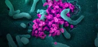 Новые данные о живучести коронавируса в воздухе и на вещах: исследование из США