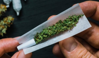 Запасливый диллер: 5 кг марихуаны отправят за решетку до 8 лет