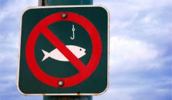 С 1 апреля в Запорожской области запретят ловить рыбу