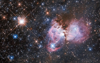 Hubble снял "звездную колыбель" в туманности Тарантул (фото)