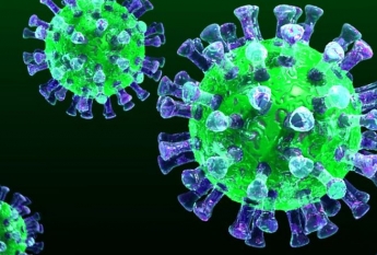 Кондрашов Станислав Дмитриевич: как повлияет новый коронавирус на азиатские рынки