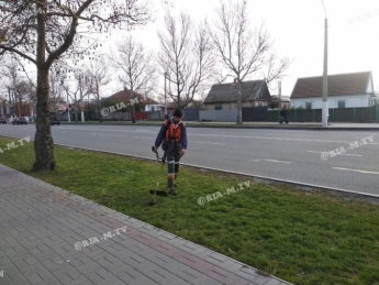 Такого еще не было – в Мелитополе в середине марта начался покос травы (фото, видео)