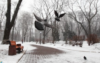 Киев замело снегом в последний день марта: яркие фото и видео