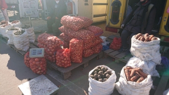 В Мелитополе на рынке овощи взлетели в цене (фото, видео)