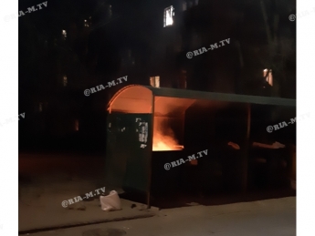 В Мелитополе неизвестные подожгли мусорные контейнеры (фото)