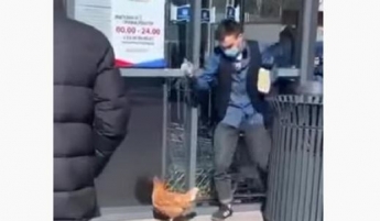 Карантин: мужчина на поводке выгуливал курицу (видео)