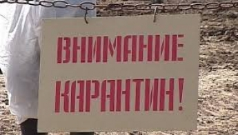 Территорию Мелитополя признали карантинной зоной – что это значит для жителей города и приезжих (фото)