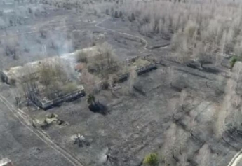 Пожар в Чернобыльской зоне показали на видео