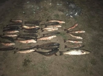 Инспекторы поймали одного из «крутых» браконьеров на ночной ловле пеленгаса (фото)
