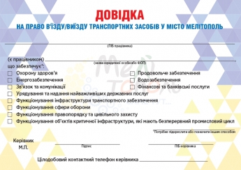 Для подготовки разрешений на въезд и выезд из Мелитополя в полиции дали 2 дня (видео)