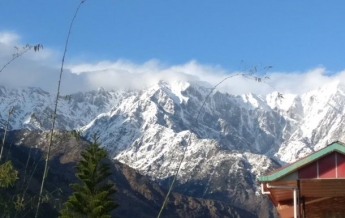 Из-за карантина открылся вид на Гималаи (фото, видео)