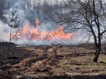Пожар в Чернобыле: полиция вручила подозрение еще одному поджигателю
