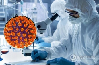 Поймают на живца: ученые нашли, как остановить коронавирус в теле человека