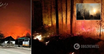 На Житомирщине вспыхнул масштабный пожар. Жуткие фото и видео
