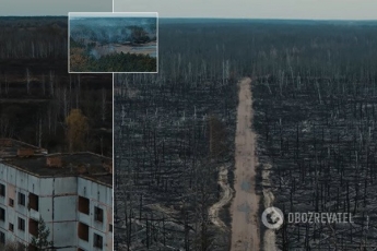 Украинский режиссер снял с дрона жуткие последствия пожаров в Чернобыле