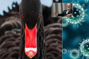Коронавирус приведет человечество к новому этапу развития – автор "Черного лебедя" Нассим Талеб