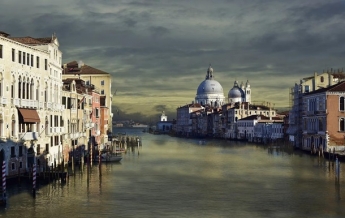 В каналах Венеции появились медузы (фото, видео)