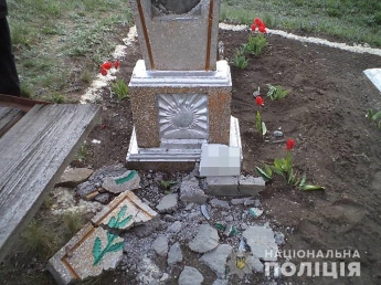 В Запорожской области задержали 13-летнего вандала, который повредил более 30 памятников (ФОТО)