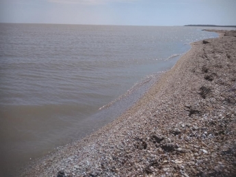 Молочный лиман достиг исторических берегов (фото, видео)