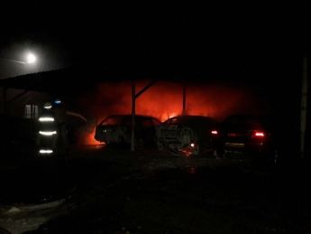 В Васильевке на автостоянке сгорели 9 машин