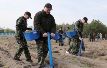 Лукашенко объявил субботник и сажает деревья