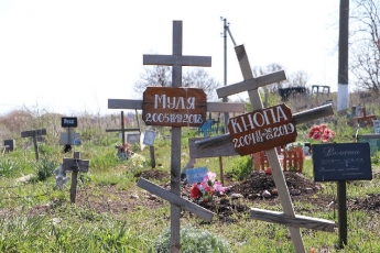 Мраморные плиты, кресты и оградки: как выглядит кладбище домашних животных в Запорожской области