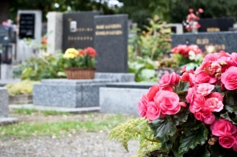 В Запорожской области семейная пара заплатит 34 тысячи гривен за посещение кладбища