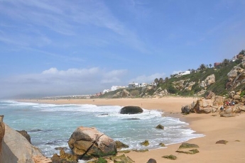 В Испании из-за коронавируса "продезинфицировали" пляж хлоркой и убили все живое