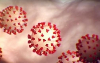 Названы сопутствующие заболевания, которые повышают риск смерти от коронавируса