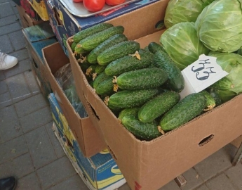 Мелитопольское жлобство - рыночники во второй день работы подняли цену огурцов вдвое (фото)