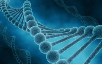 В ДНК человека нашли фрагмент, влияющий на тяжесть COVID-19