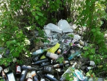 На карантине в Мелитополе лесопарк завалили бутылками и одноразовой посудой (фото, видео)