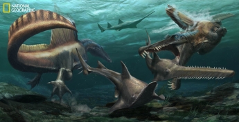 Питался акулами: ученые сделали интересное открытие про гигантского динозавра, фото