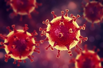 Атакует не только легкие: ученые показали, где еще коронавирус 