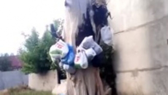 В Мелитополе жители частного сектора "создали" дерево из мусора (видео)