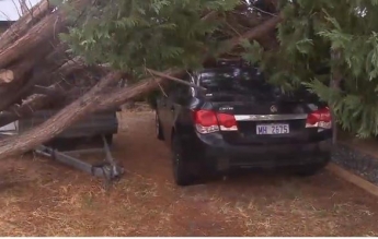 Австралия пострадала от сильного шторма (видео)