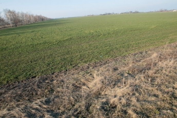 На Одесщине фермер потерял из-за засухи весь урожай и покончил жизнь самоубийством