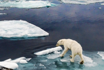 Ученые ужаснули заявлением о глобальном потеплении: миллионы людей потеряют дома