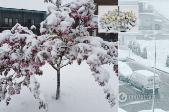 Европу завалило снегом: циклон движется в Украину. Фото, видео и карты