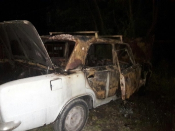 В Запорожской области сгорели два автомобиля (ФОТО)