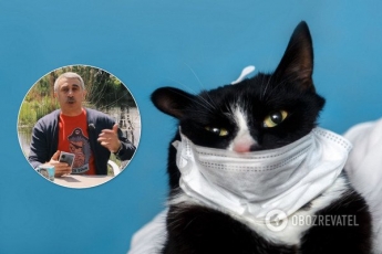 Дезинфекция котов и туалетная бумага: Комаровский ответил на самые странные вопросы о COVID-19. Видео