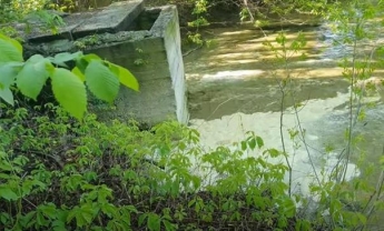 На видео попал слив загрязнений в реку Днепр