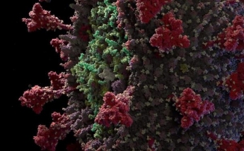 Создана самая подробная 3D модель коронавируса (видео)