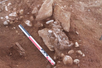 Во Франции раскопали древнюю гробницу женщины в роскошных украшениях: фото