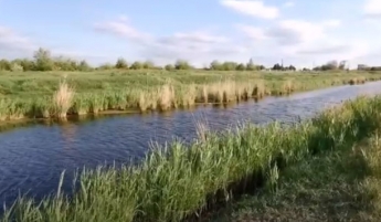 На реке Малый Утлюг устроили дамбу из мусора (видео)