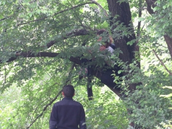 В Запорожье спасли женщину, которая собиралась покончить с собой на дереве