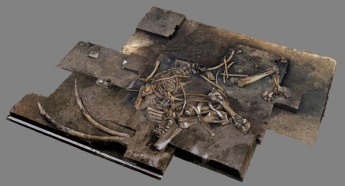 Археологи нашли в Европе слона, жившего сотни тысяч лет назад: фото и видео