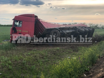 В Запорожской области зерновоз вылетел в кювет и перевернулся (фото)